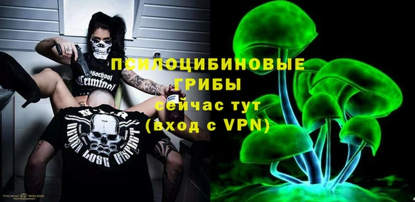 мдпв Арсеньев