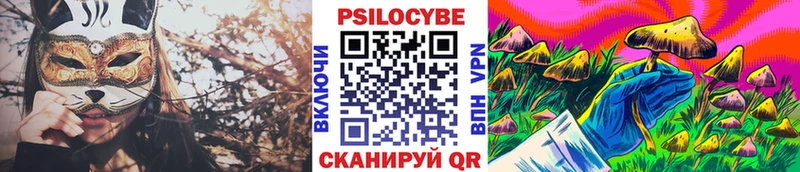 Псилоцибиновые грибы Cubensis  blacksprut онион  мориарти Telegram  Волгореченск 